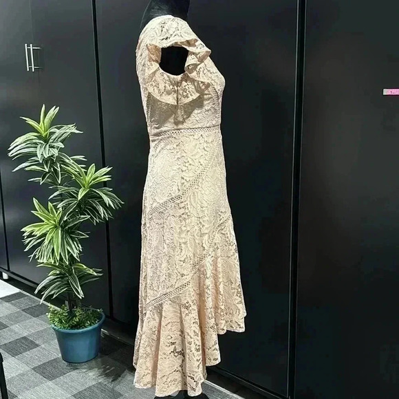 Just Taylor V-neck flutter sleeve lace,Hi/low ruffle,zip back, lined,zipper back - Picture 5 of 16